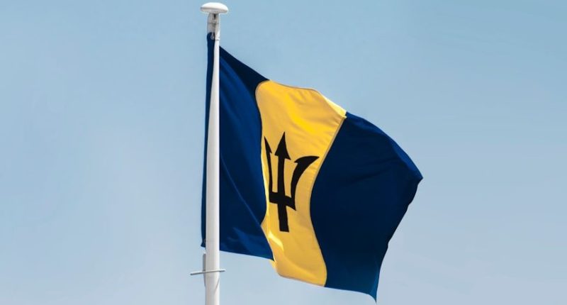 a flag on a pole